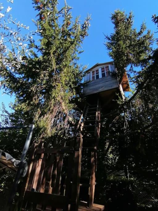 La Casetta Di Elena Holiday home