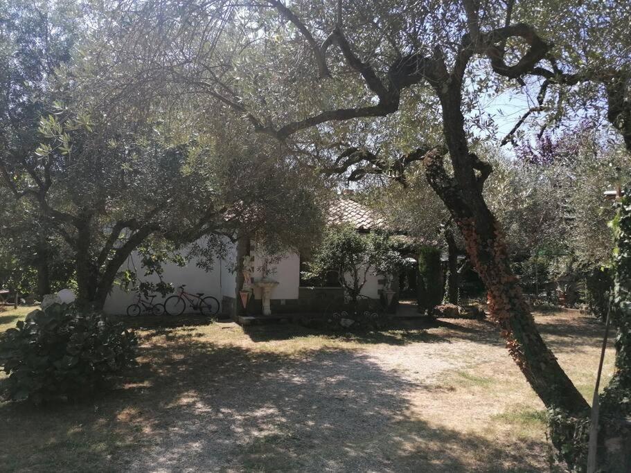 Holiday home La Casetta Di Elena *